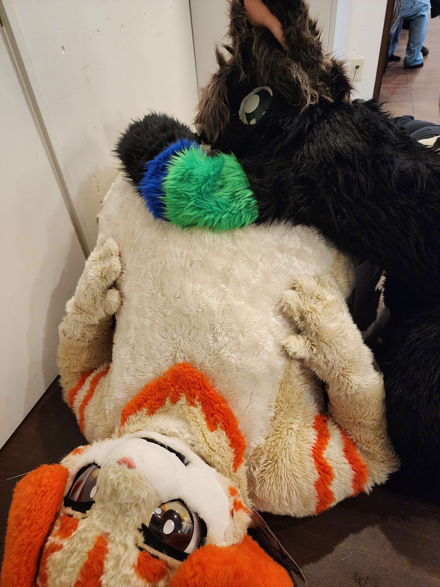 春陽といっしょにお昼寝