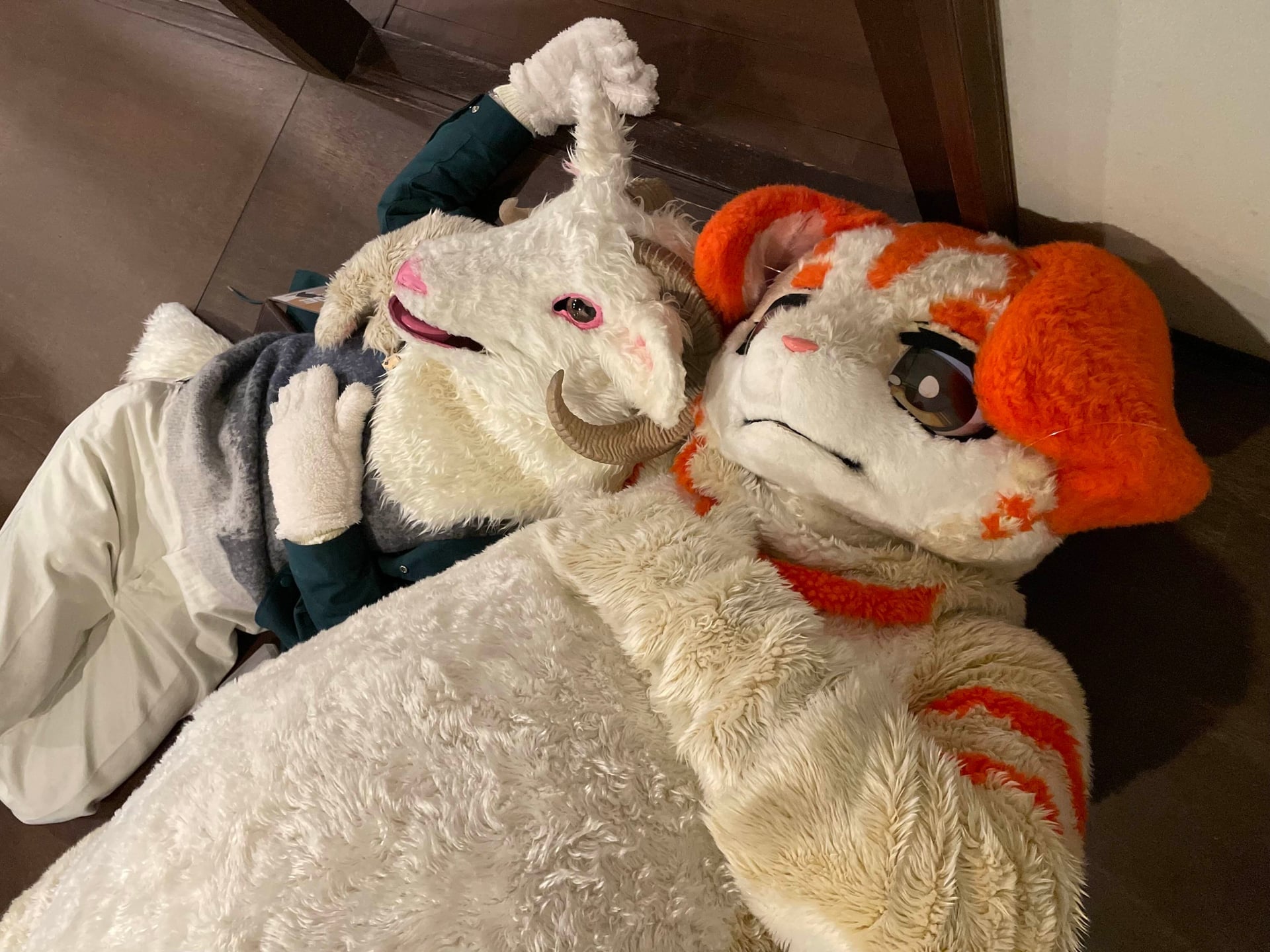 春陽といっしょにお昼寝