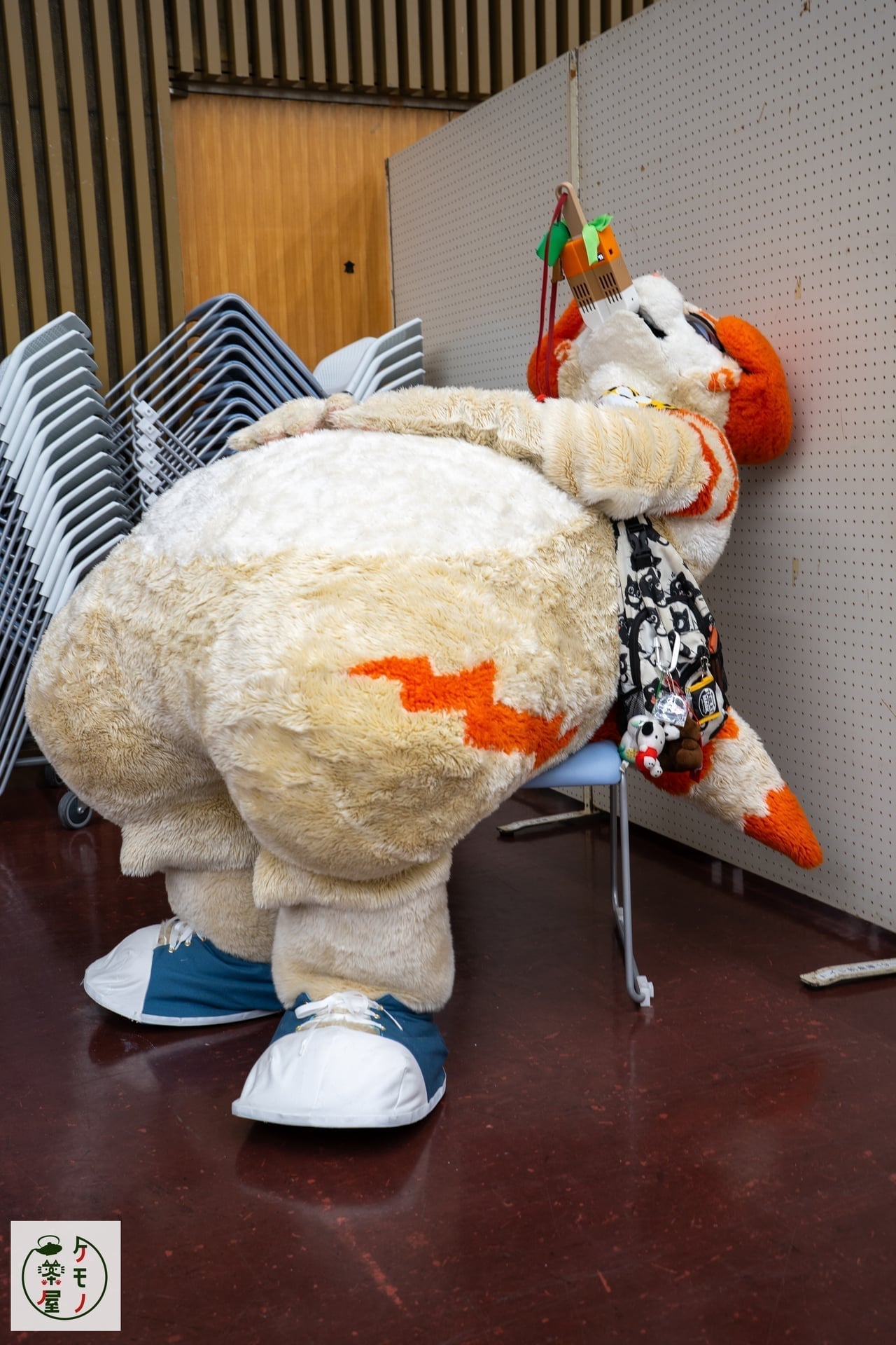 寝落ちしかけている春陽