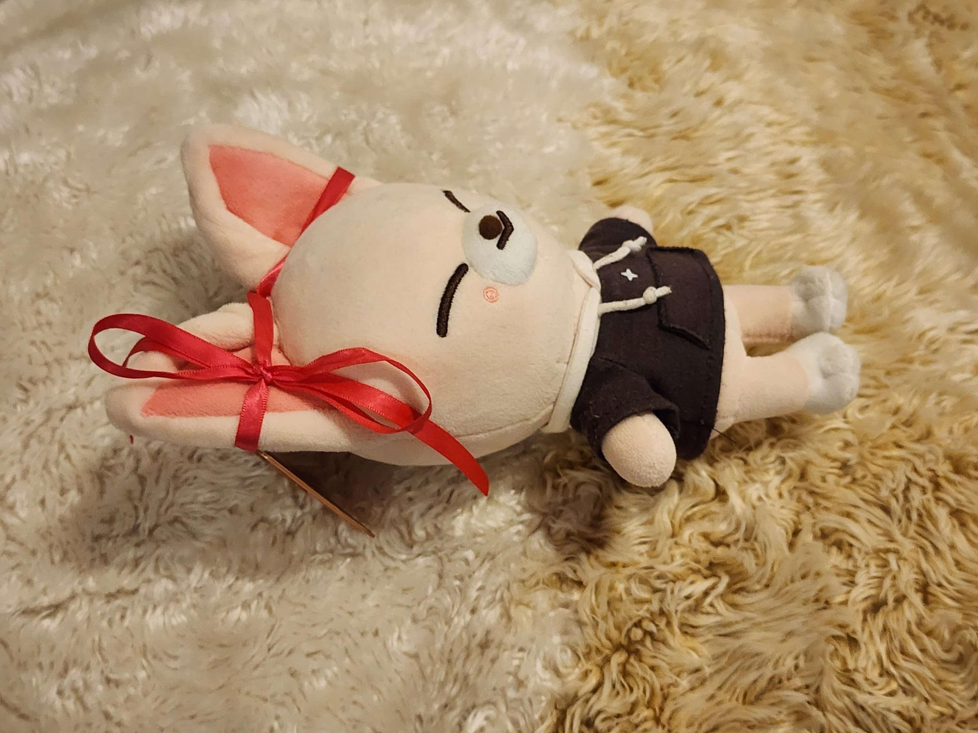 春陽のお腹の上で眠る狐さん