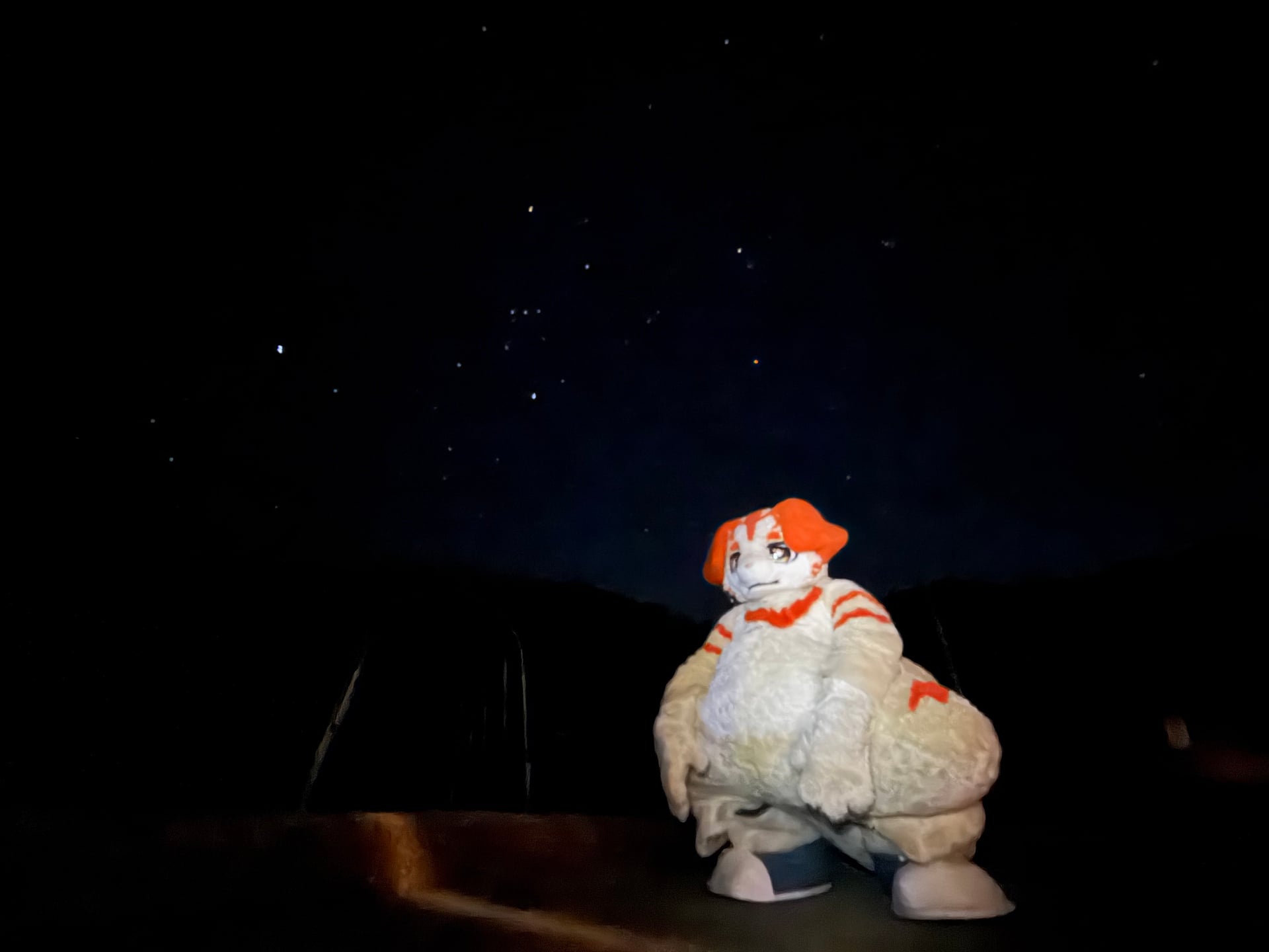 夜空の星を見る春陽